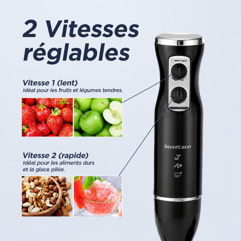 mixeur soupes vitesses